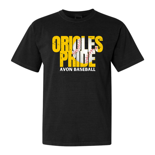 Orioles Pride Baseball Youth Tee DriFit