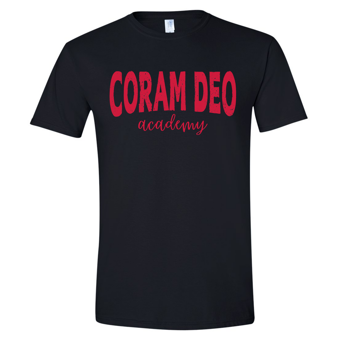 Distressed CD Tee