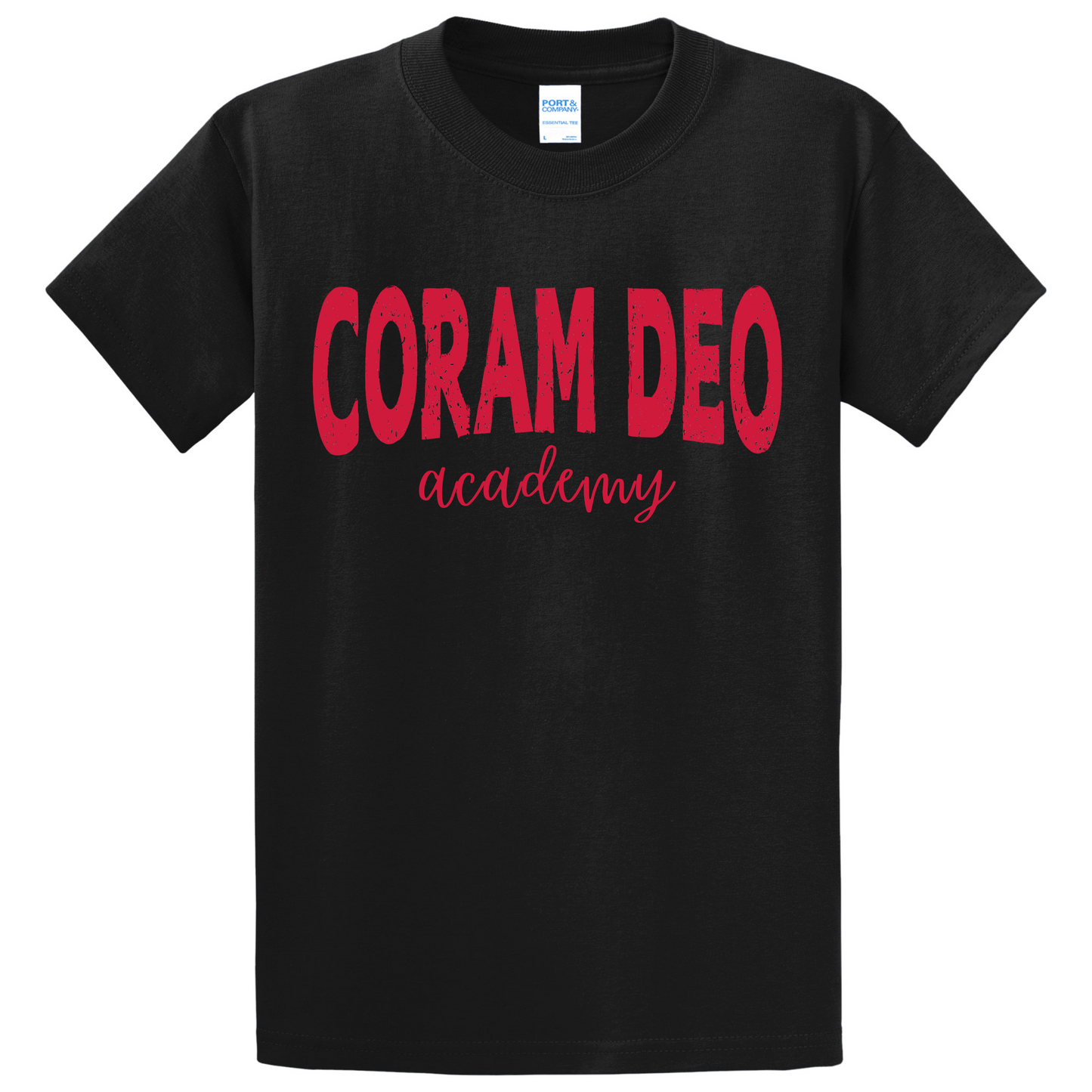 Distressed CD Tee