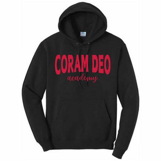 Distressed CD Hoodie