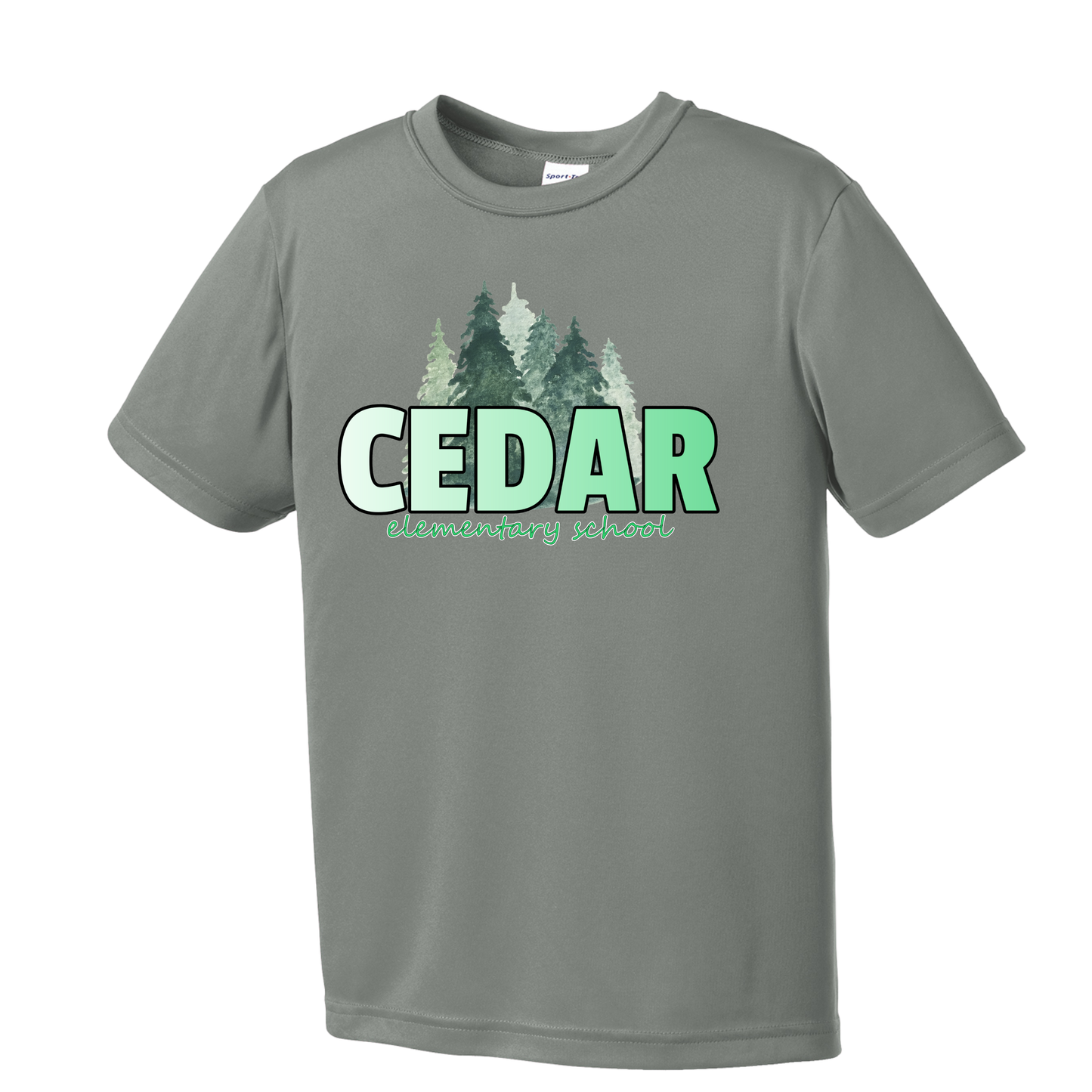 Gradient Cedar Youth Tee