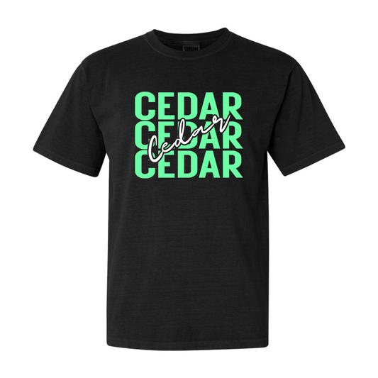 Cedar Repeat Youth Tee